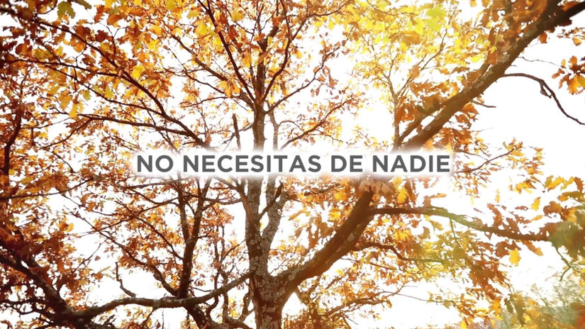 Todo es Posible